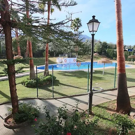 Ayma Buganvilla